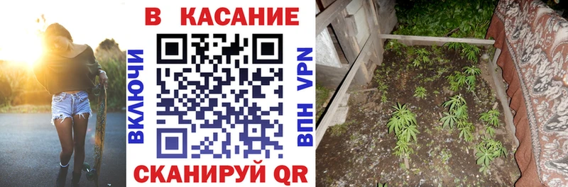 Купить Alpha PVP Бошки Шишки Меф Гашиш COCAIN Полярный