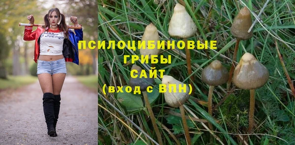 mix Инсар