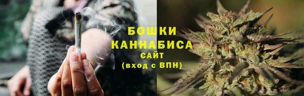бошки Инта