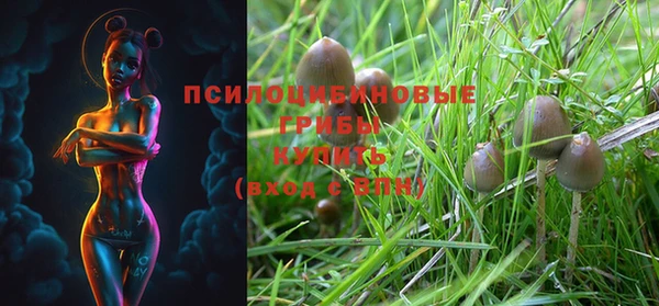 прущая мука Иннополис