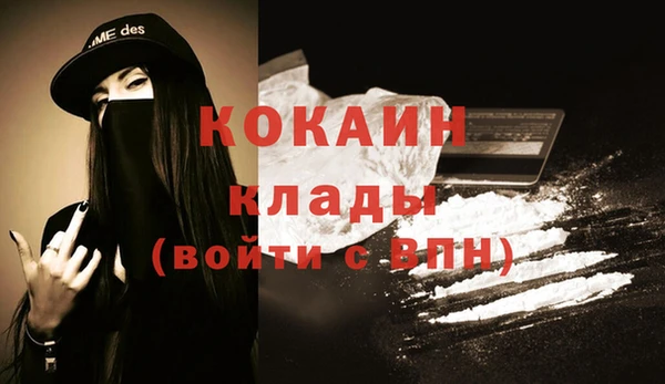бошки Инта