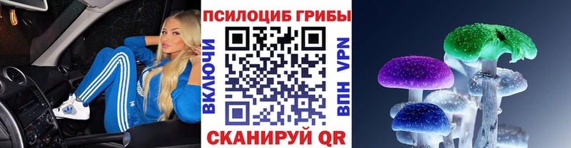 Купить закладки  Полярный  Псилоцибиновые грибы мицелий 